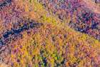USA, North Carolina. Aerial fall color Appalachian Mountains Art Print